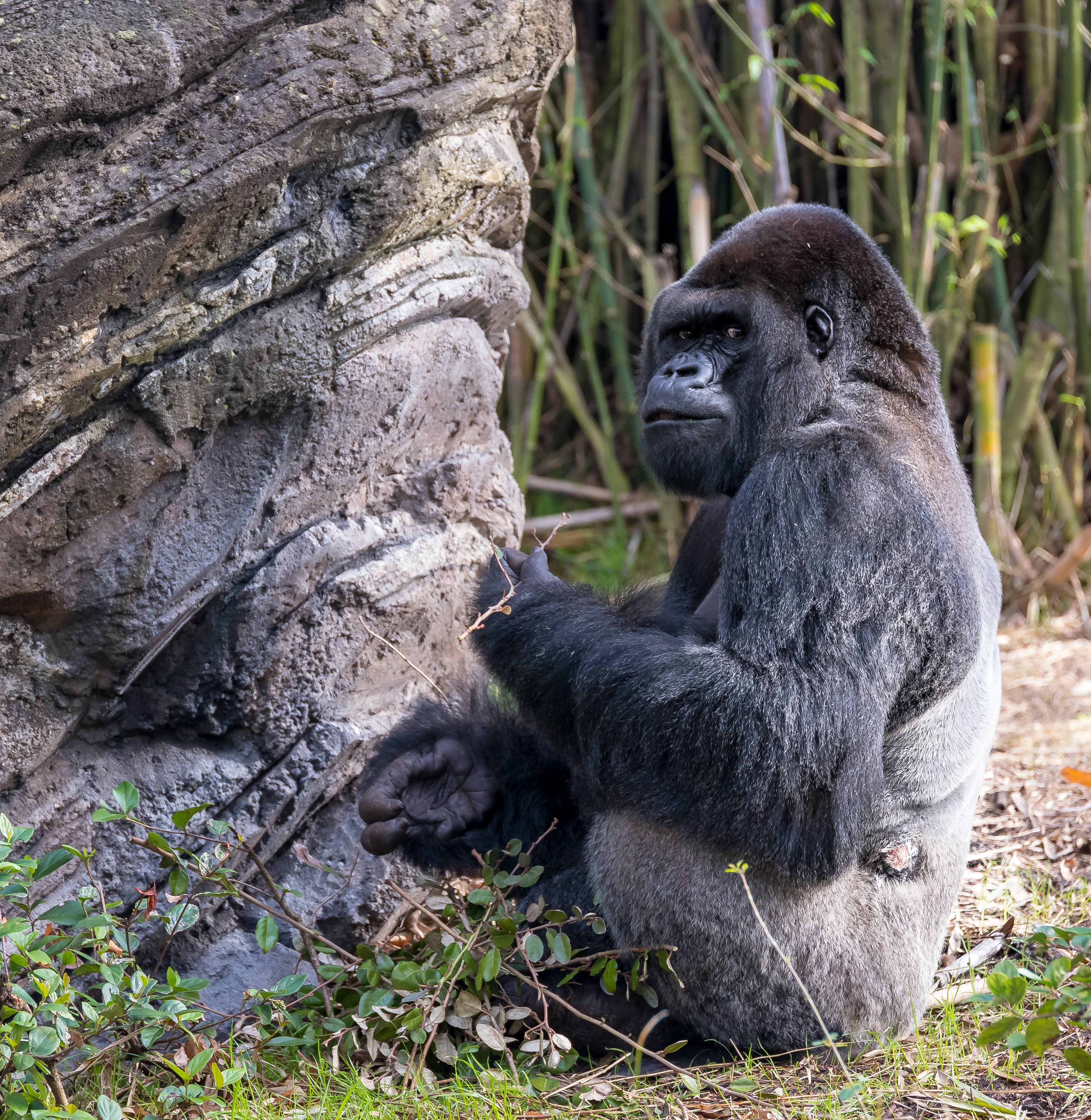 20180204 MG 9873 — Wildlife